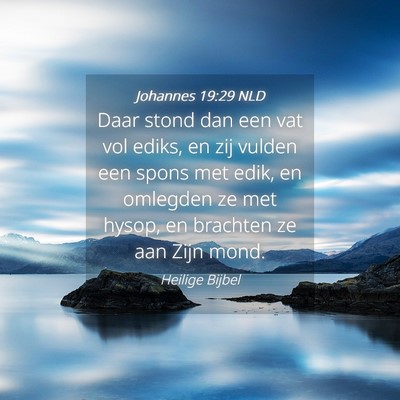 Picture 04 - Johannes 19:29 NLD - Daar stond dan een vat vol ediks, en zij vulden - Bible Verse Picture