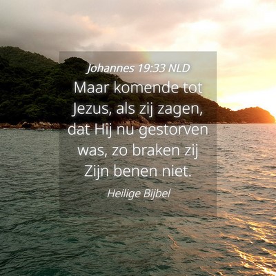 Picture 04 - Johannes 19:33 NLD - Maar komende tot Jezus, als zij zagen, dat Hij nu - Bible Verse Picture