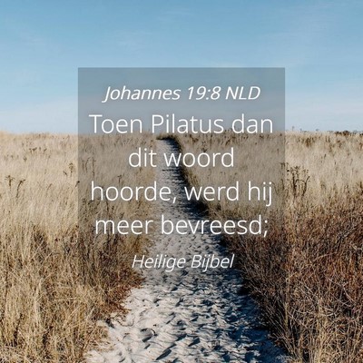 Picture 04 - Johannes 19:8 NLD - Toen Pilatus dan dit woord hoorde, werd hij meer - Bible Verse Picture
