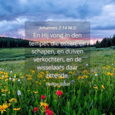 Picture 04 - Johannes 2:14 NLD - En Hij vond in den tempel, die ossen, en schapen, - Bible Verse Picture