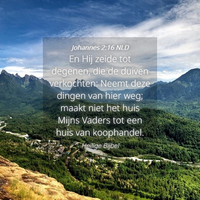 Picture 04 - Johannes 2:16 NLD - En Hij zeide tot degenen, die de duiven - Bible Verse Picture