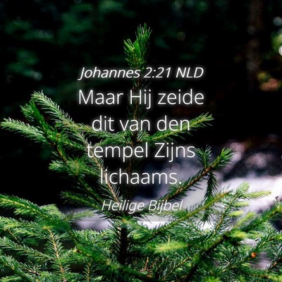 Picture 04 - Johannes 2:21 NLD - Maar Hij zeide dit van den tempel Zijns - Bible Verse Picture