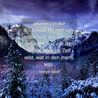 Picture 04 - Johannes 2:25 NLD - En omdat Hij niet van node had, dat iemand - Bible Verse Picture