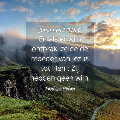 Picture 04 - Johannes 2:3 NLD - En als er wijn ontbrak, zeide de moeder van Jezus - Bible Verse Picture