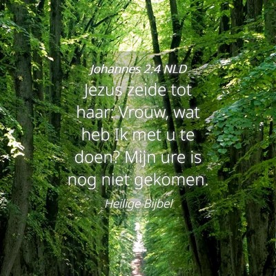 Picture 04 - Johannes 2:4 NLD - Jezus zeide tot haar: Vrouw, wat heb Ik met u te - Bible Verse Picture