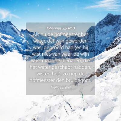 Picture 04 - Johannes 2:9 NLD - Als nu de hofmeester het water, dat wijn geworden - Bible Verse Picture