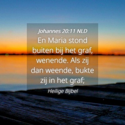 Picture 04 - Johannes 20:11 NLD - En Maria stond buiten bij het graf, wenende. Als - Bible Verse Picture