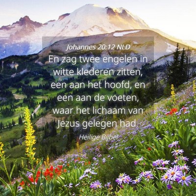 Picture 04 - Johannes 20:12 NLD - En zag twee engelen in witte klederen zitten, een - Bible Verse Picture