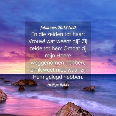 Picture 04 - Johannes 20:13 NLD - En die zeiden tot haar: Vrouw! wat weent gij? Zij - Bible Verse Picture