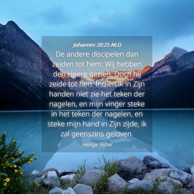 Picture 04 - Johannes 20:25 NLD - De andere discipelen dan zeiden tot hem: Wij - Bible Verse Picture