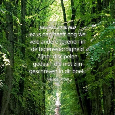 Picture 04 - Johannes 20:30 NLD - Jezus dan heeft nog wel vele andere tekenen in de - Bible Verse Picture