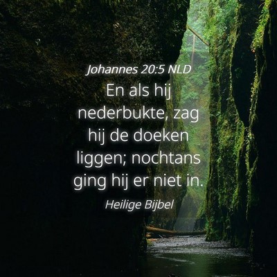 Picture 04 - Johannes 20:5 NLD - En als hij nederbukte, zag hij de doeken liggen; - Bible Verse Picture