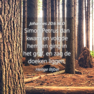 Picture 04 - Johannes 20:6 NLD - Simon Petrus dan kwam en volgde hem, en ging in - Bible Verse Picture