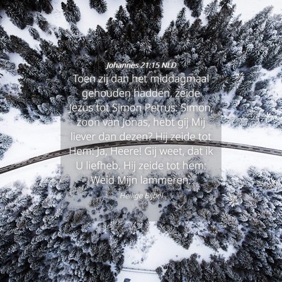 Picture 04 - Johannes 21:15 NLD - Toen zij dan het middagmaal gehouden hadden, - Bible Verse Picture