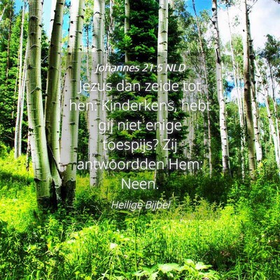 Picture 04 - Johannes 21:5 NLD - Jezus dan zeide tot hen: Kinderkens, hebt gij - Bible Verse Picture