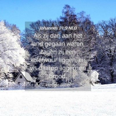 Picture 04 - Johannes 21:9 NLD - Als zij dan aan het land gegaan waren, zagen zij - Bible Verse Picture