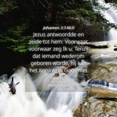 Picture 04 - Johannes 3:3 NLD - Jezus antwoordde en zeide tot hem: Voorwaar, - Bible Verse Picture