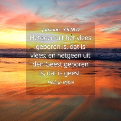 Picture 04 - Johannes 3:6 NLD - Hetgeen uit het vlees geboren is, dat is vlees; - Bible Verse Picture