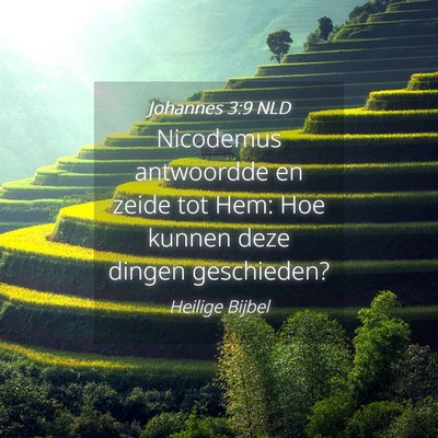 Picture 04 - Johannes 3:9 NLD - Nicodemus antwoordde en zeide tot Hem: Hoe kunnen - Bible Verse Picture