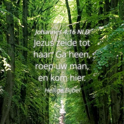 Picture 04 - Johannes 4:16 NLD - Jezus zeide tot haar: Ga heen, roep uw man, en - Bible Verse Picture
