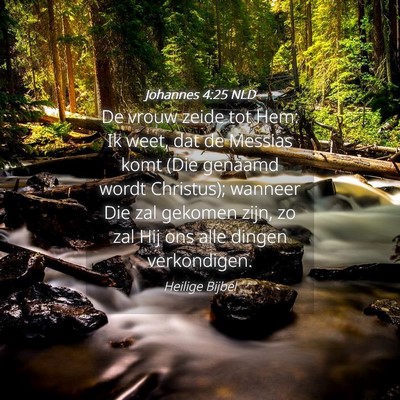 Picture 04 - Johannes 4:25 NLD - De vrouw zeide tot Hem: Ik weet, dat de Messias - Bible Verse Picture