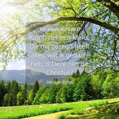 Picture 04 - Johannes 4:29 NLD - Komt, ziet een Mens, Die mij gezegd heeft alles, - Bible Verse Picture