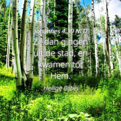 Picture 04 - Johannes 4:30 NLD - Zij dan gingen uit de stad, en kwamen tot - Bible Verse Picture