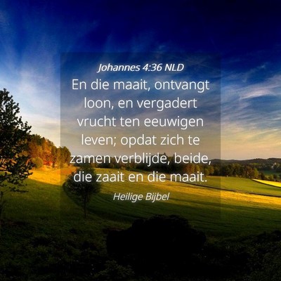 Picture 04 - Johannes 4:36 NLD - En die maait, ontvangt loon, en vergadert vrucht - Bible Verse Picture