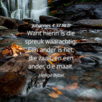 Picture 04 - Johannes 4:37 NLD - Want hierin is die spreuk waarachtig: Een ander - Bible Verse Picture