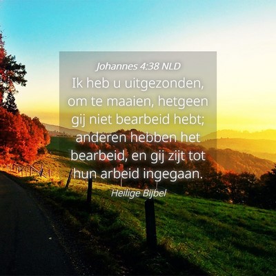 Picture 04 - Johannes 4:38 NLD - Ik heb u uitgezonden, om te maaien, hetgeen gij - Bible Verse Picture