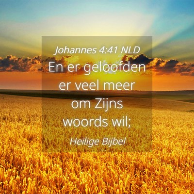 Picture 04 - Johannes 4:41 NLD - En er geloofden er veel meer om Zijns woords - Bible Verse Picture