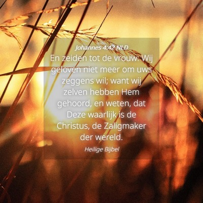 Picture 04 - Johannes 4:42 NLD - En zeiden tot de vrouw: Wij geloven niet meer om - Bible Verse Picture