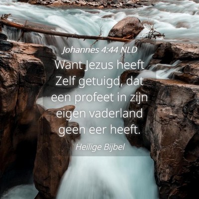 Picture 04 - Johannes 4:44 NLD - Want Jezus heeft Zelf getuigd, dat een profeet in - Bible Verse Picture