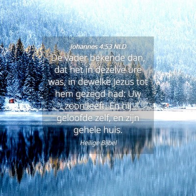 Picture 04 - Johannes 4:53 NLD - De vader bekende dan, dat het in dezelve ure was, - Bible Verse Picture