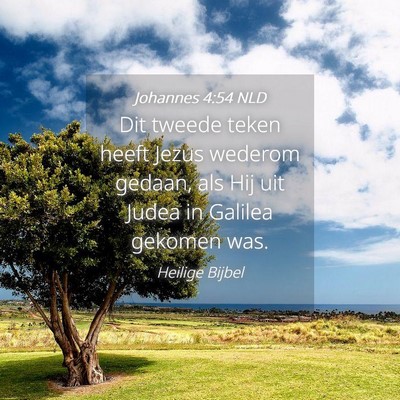 Picture 04 - Johannes 4:54 NLD - Dit tweede teken heeft Jezus wederom gedaan, als - Bible Verse Picture