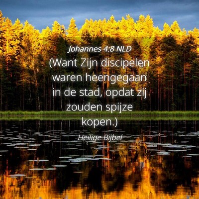 Picture 04 - Johannes 4:8 NLD - (Want Zijn discipelen waren heengegaan in de - Bible Verse Picture