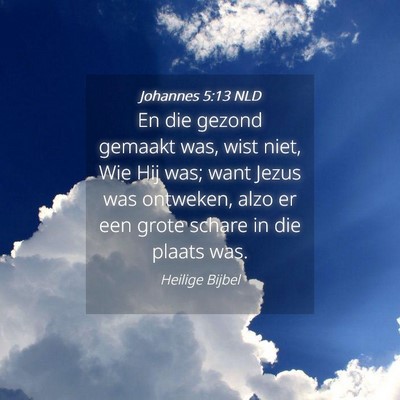 Picture 04 - Johannes 5:13 NLD - En die gezond gemaakt was, wist niet, Wie Hij - Bible Verse Picture