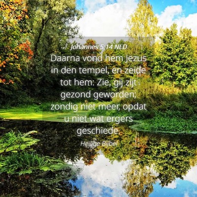 Picture 04 - Johannes 5:14 NLD - Daarna vond hem Jezus in den tempel, en zeide tot - Bible Verse Picture