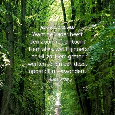 Picture 04 - Johannes 5:20 NLD - Want de Vader heeft den Zoon lief, en toont Hem - Bible Verse Picture