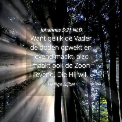 Picture 04 - Johannes 5:21 NLD - Want gelijk de Vader de doden opwekt en levend - Bible Verse Picture