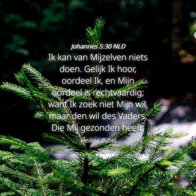 Picture 04 - Johannes 5:30 NLD - Ik kan van Mijzelven niets doen. Gelijk Ik hoor, - Bible Verse Picture