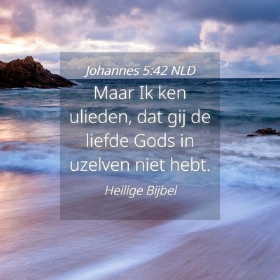 Picture 04 - Johannes 5:42 NLD - Maar Ik ken ulieden, dat gij de liefde Gods in - Bible Verse Picture