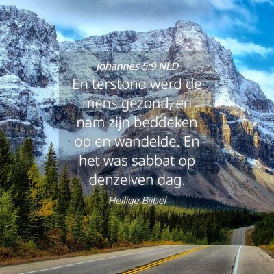 Picture 04 - Johannes 5:9 NLD - En terstond werd de mens gezond, en nam zijn - Bible Verse Picture