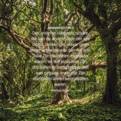 Picture 04 - Johannes 6:22 NLD - Des anderen daags de schare, die aan de andere - Bible Verse Picture