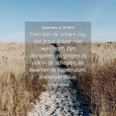 Picture 04 - Johannes 6:24 NLD - Toen dan de schare zag, dat Jezus aldaar niet - Bible Verse Picture
