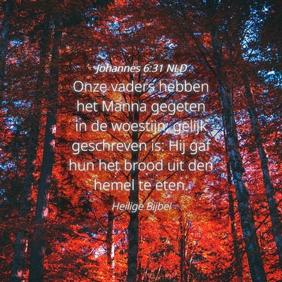 Picture 04 - Johannes 6:31 NLD - Onze vaders hebben het Manna gegeten in de - Bible Verse Picture