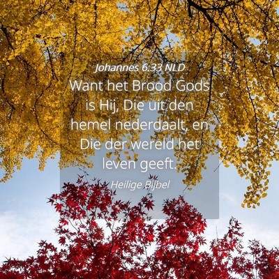 Picture 04 - Johannes 6:33 NLD - Want het Brood Gods is Hij, Die uit den hemel - Bible Verse Picture
