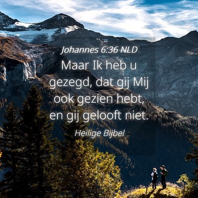 Picture 04 - Johannes 6:36 NLD - Maar Ik heb u gezegd, dat gij Mij ook gezien - Bible Verse Picture