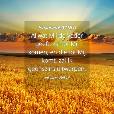 Picture 04 - Johannes 6:37 NLD - Al wat Mij de Vader geeft, zal tot Mij komen; en - Bible Verse Picture