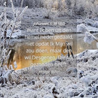 Picture 04 - Johannes 6:38 NLD - Want Ik ben uit den hemel nedergedaald, niet - Bible Verse Picture